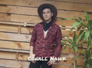 Conall_Hawk