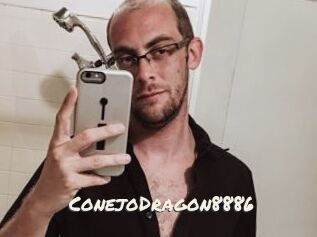 ConejoDragon8886