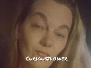 Curiousflower