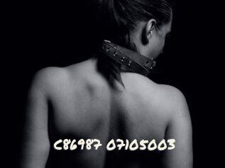 C86987-07105003