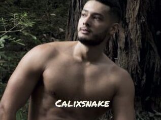 Calixsnake
