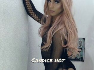 Candice_hot