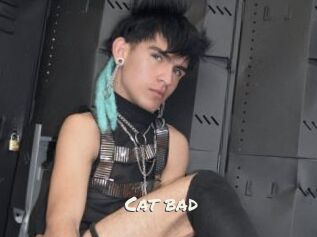 Cat_bad