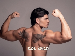 col_wild Vierges
