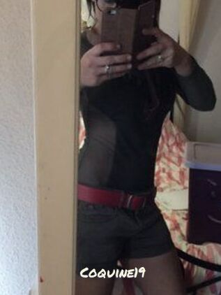 Coquine19