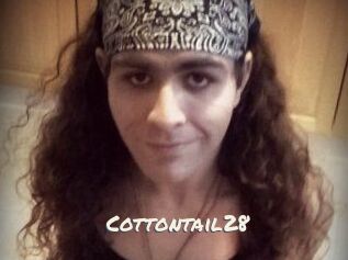 Cottontail28