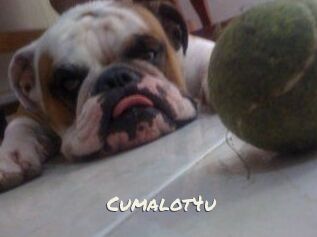 Cumalot4u