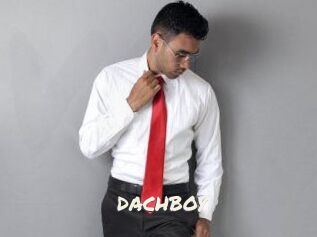DACHBOY