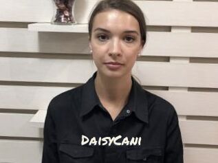 DaisyCani
