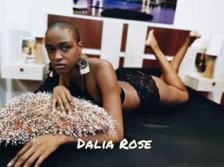 Dalia_Rose