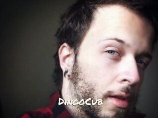 DingoCub