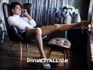 DivineStallion
