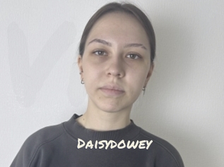 Daisydowey