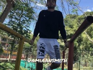 Damiaansmith