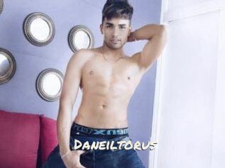 Daneil_torus