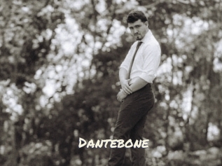 dantebone Vierges