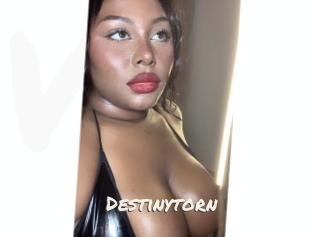 destinytorn Vierges