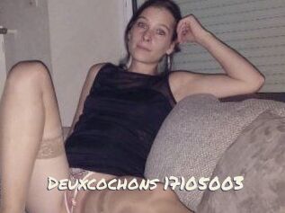 Deuxcochons