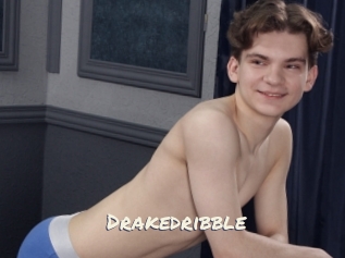 Drakedribble