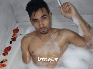 Dtorus