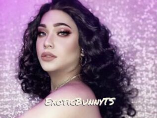ExoticBunnyTS