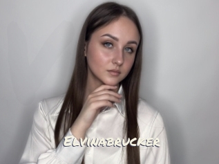 Elvinabrucker