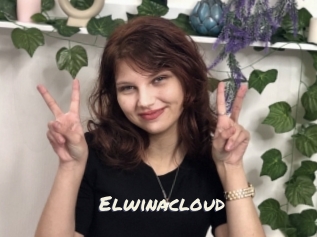 Elwinacloud