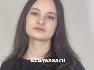 Elwynabach