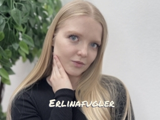 Erlinafugler