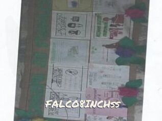 FALCO8INCHss