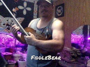 FiddleBear