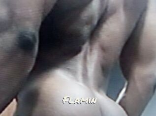 Flamin