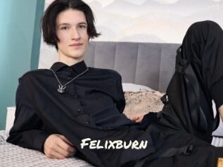 Felixburn