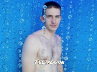 Felixgunn