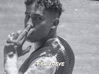 Fenixdeve