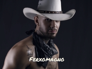 ferxomagno Vierges