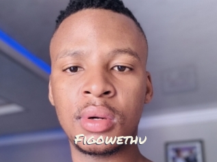 Figowethu
