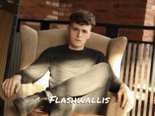 Flashwallis