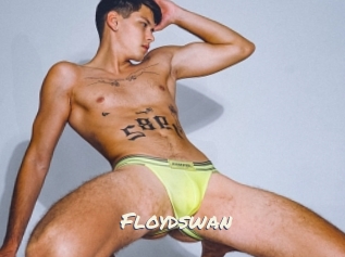 Floydswan