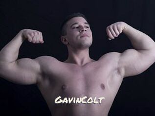 GavinColt