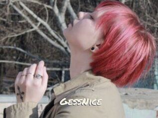 GessNice