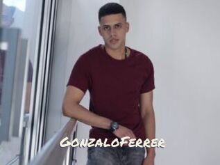 GonzaloFerrer