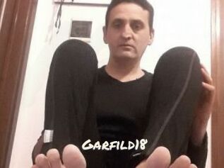 Garfild18