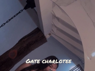 Gate_charlotee