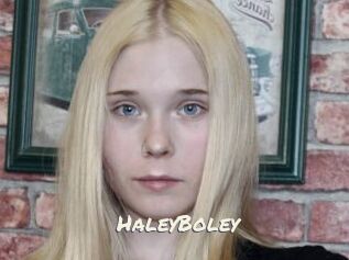 HaleyBoley