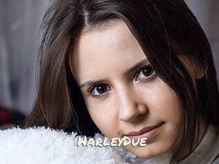 Harley_Due