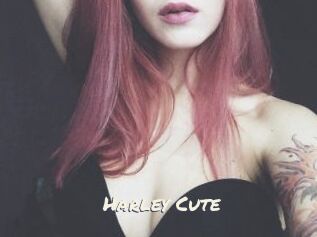Harley_Cute