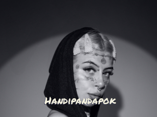 Handipandapok