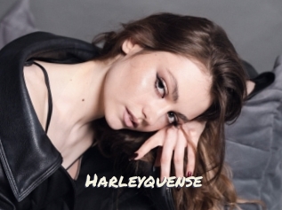 Harleyquense