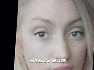 Harlowrose